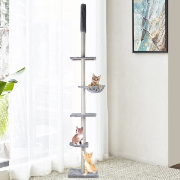 La différence entre un arbre à chat classique et un arbre à chat au plafond