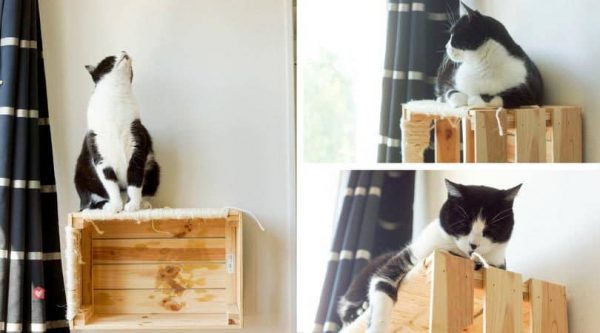 Choisir une bonne fixation