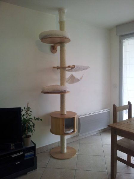 L’arbre à chat fixé au plafond