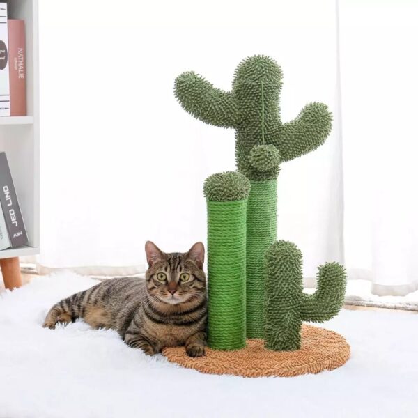 Arbre à chat cactus Pawz Road : le meilleur